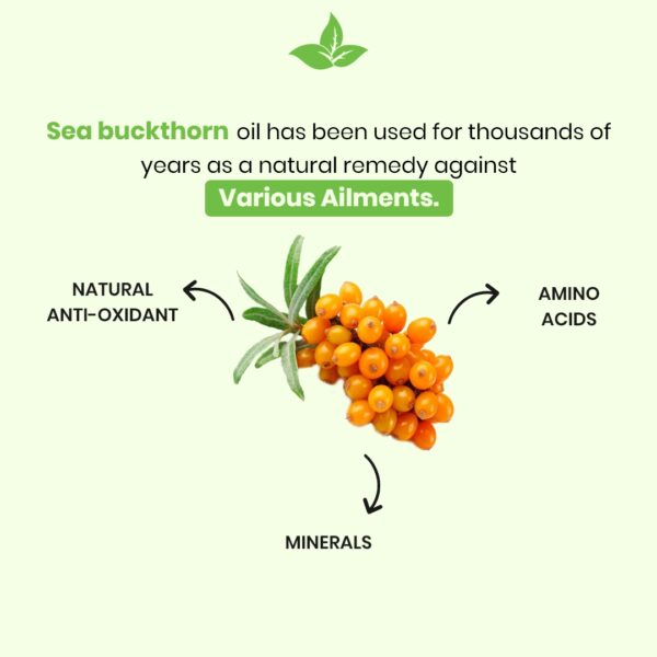Sea Buckthorn Oil Capsules