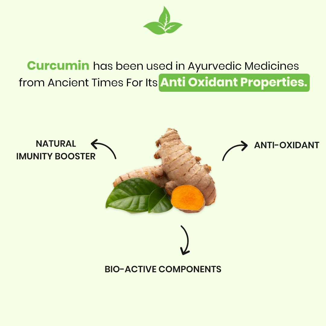 Curcumin Capsules - Image 2