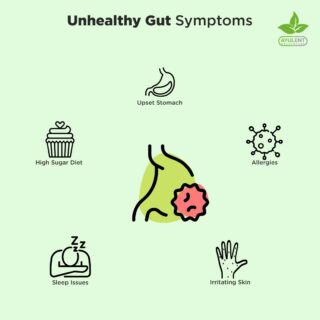 The fact that One in every 150 Canadians suffers from digestive issues is a major concern. Here are 5 signs that you have an unhealthy gut-

1. Upset Stomach: The imbalance of the gut bacteria leads to conditions like constipation, gas, diarrhea, bloating & abdominal pain. 
2. High Sugar Intake: Consumption of processed foods & added sugars reduces the good bacteria in the gut leading to inflammation.
3.  Sleep Issues: The sleep-inducing serotonin hormone produced in the gut. An unhealthy gut therefore negatively impacts our sleep cycle.
4. Irritating Skin: Inflammation in the gut leaks certain proteins into the body causing skin irritation or conditions like eczema. 
5. Allergies: An unhealthy gut can cause allergic conditions including respiratory, food, and skin allergies. 

#Ayulent #Ayulenthealthcare #diet #supplements #vitamins #fitness #health  #healthylifestyle #vegan #adaptogens #organic #plantbased #nutrition #gym #healthylifestyle #vitamins #wellness #ashwagandha #ayurveda #health