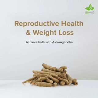 A majority of the cases of infertility lies in men's low count of sperm due to obesity or being overweight. Achieve two goals with half the effort as Ashwagandha increases sperm production and helps you in losing weight.

Buy Ayulent's Ashwagandha Capsules - Link in Bio.

#Ayulent #Ayulenthealthcare #diet #supplements #vitamins #contentcreator #yycblogger #canada #ayurvedic #foodsuppliment #natural #oils #mentalhealth #vitamincapsule #vegan #vegansuppliments #trending #viral #instagram #love #instagood #explorepage #explore #fashion #follow #bhfyp