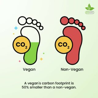 Did You Know animal agriculture is one of the leading causes of climate change. By turning vegan, you instantly cut your carbon emissions to half! Go vegan with Ayulent.  #Veganewyear

#Ayulent #Ayulenthealthcare #diet #supplements
#vitamins #contentcreator #yycblogger #canada
#ayurvedic #foodsuppliment #natural #oils
#mentalhealth #vitamincapsule #vegan
#vegansuppliments