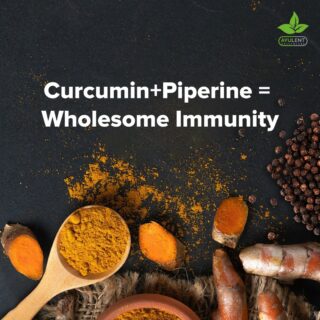 Curcumin and Piperine are two chief composition in Turmeric and Black Pepper. They are known for their antioxidant, anti-inflammatory and disease combat properties. The Ayulent Curcumin Capsules are a combination of both, thus, provides a wholesome protection to your health. 

#Ayulent #Ayulenthealthcare #diet #supplements #vitamins #contentcreator #yycblogger #canada #ayurvedic #foodsuppliment #natural #oils #mentalhealth #vitamincapsule #vegan #vegansuppliments