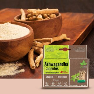 Are you looking for a unique blend that can help you in times of mental and nervous tension & contribute to optimum relaxation? Then our Ashwagandha Capsule is for you. Buy now. Link in bio.

#Ayulent #Ayulenthealthcare #diet #supplements #vitamins #contentcreator #yycblogger #canada #ayurvedic #foodsuppliment #natural #oils
#mentalhealth #vitamincapsule #vegan
#vegansuppliments